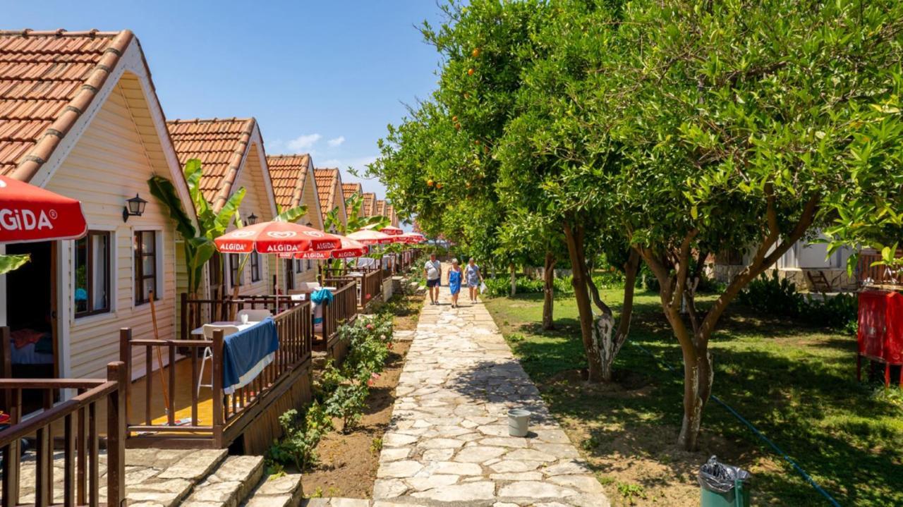 Clover Magic Nova Beach Hotel Side Exterior foto